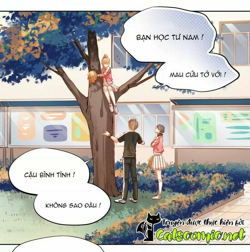 Sự Cám Dỗ Xấu Xa Chương 40 Ảnh 8