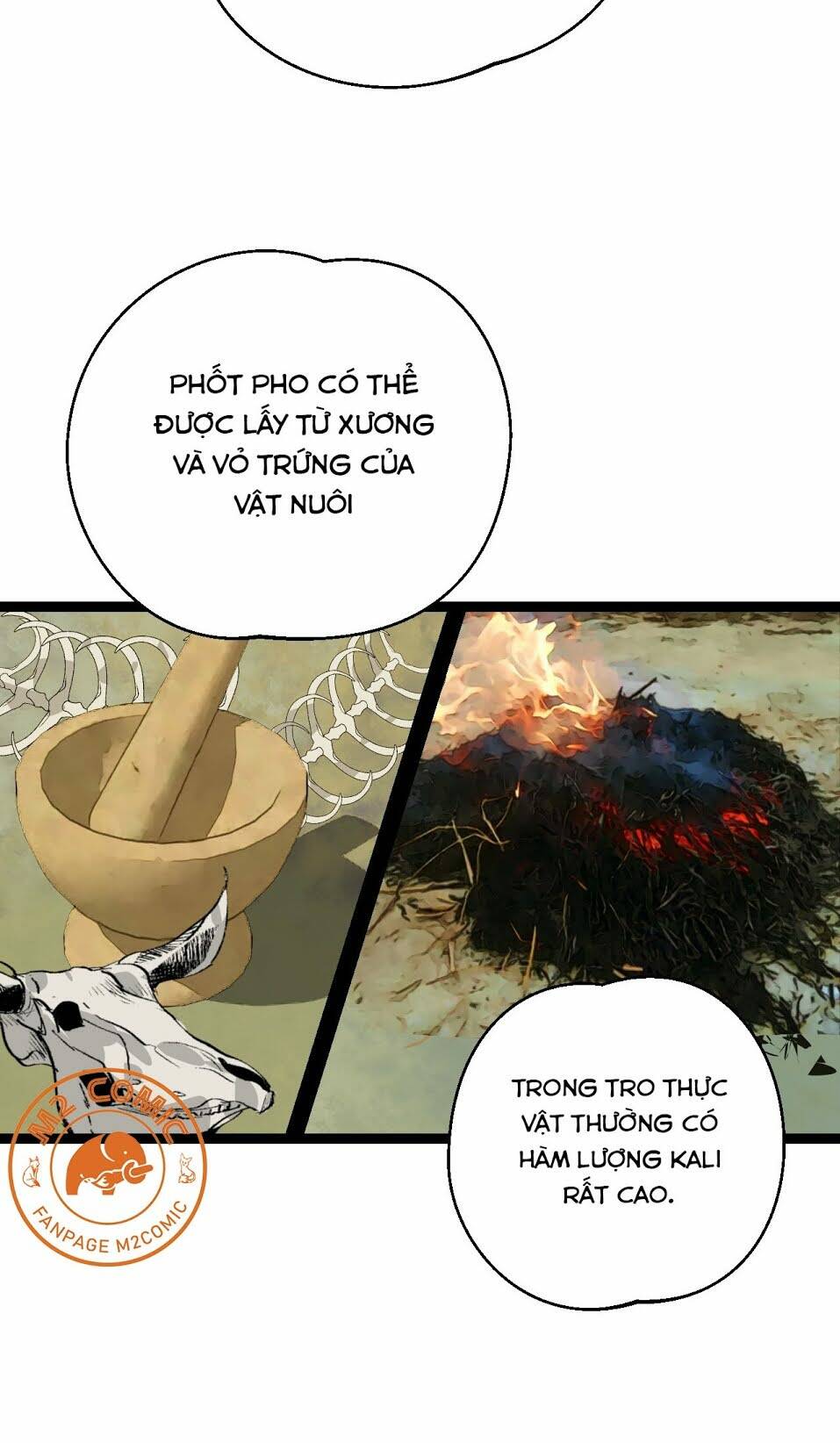 Đế Quốc Lê Man Chương 25 Ảnh 11