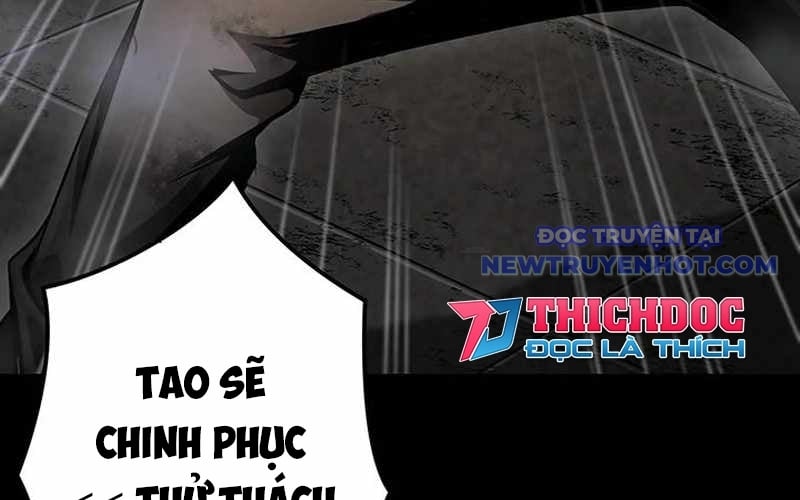 Vượt Cấp Với Kỹ Năng Thần Thánh Chương 8 Ảnh 224