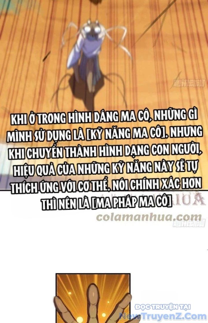 Dũng Sĩ Nấm Chương 88 Ảnh 37