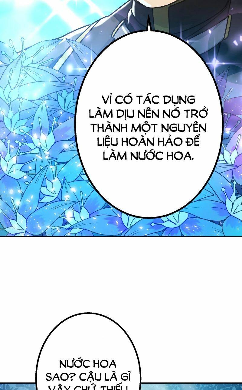 Cuộc Sống Của Một Pháp Sư Xuyên Không Thế Giới Khác Chương 29 Ảnh 41