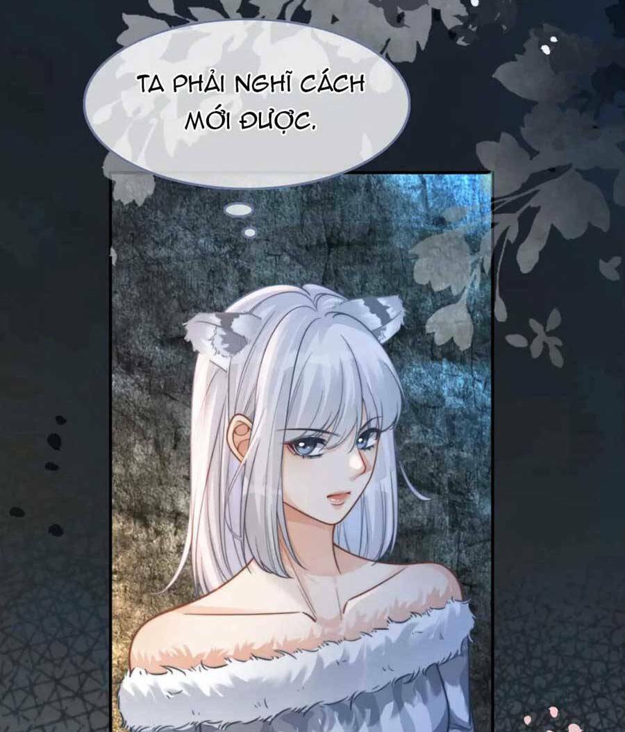 Xuyên Nhanh Nữ Phụ Bình Tĩnh Chút Chương 163 Ảnh 22