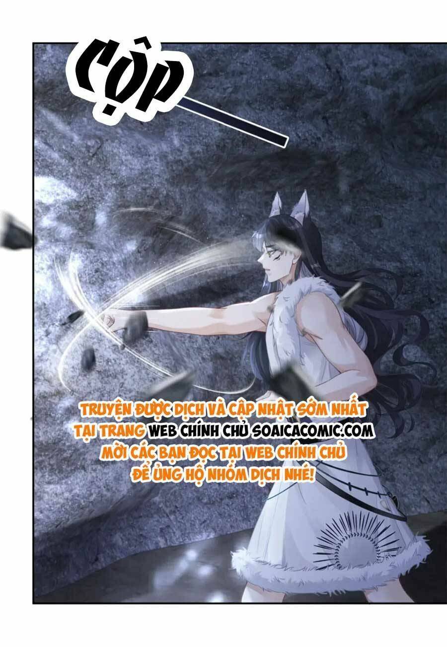 Xuyên Nhanh Nữ Phụ Bình Tĩnh Chút Chương 172 Ảnh 6