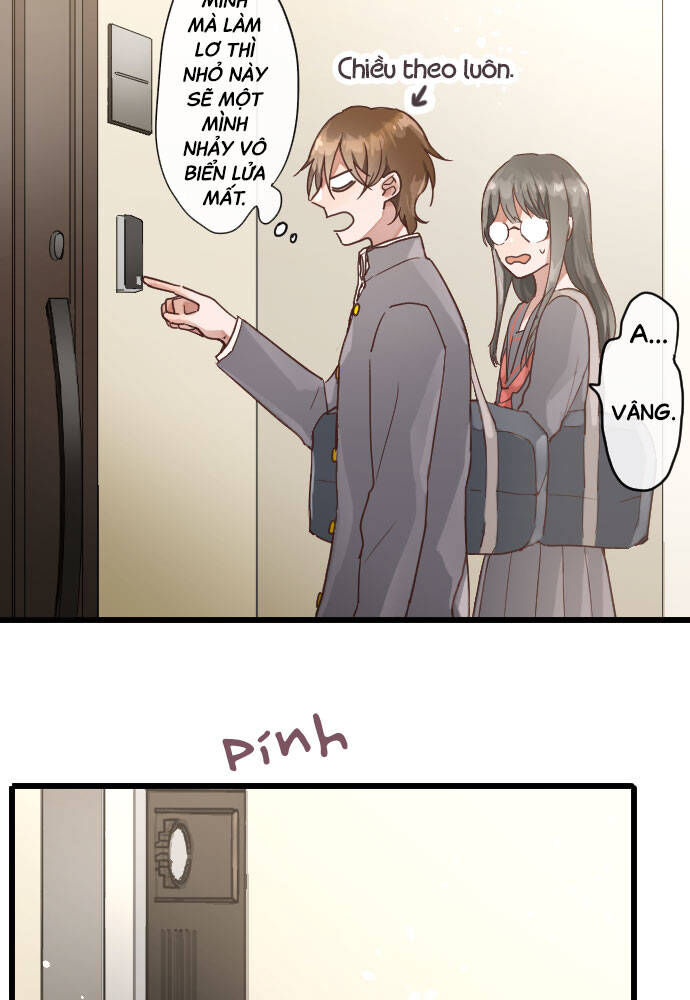 Hoa Cánh Sao