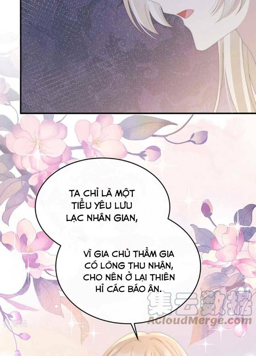 Thê Chủ, Thỉnh Hưởng Dụng Chương 75 Ảnh 3