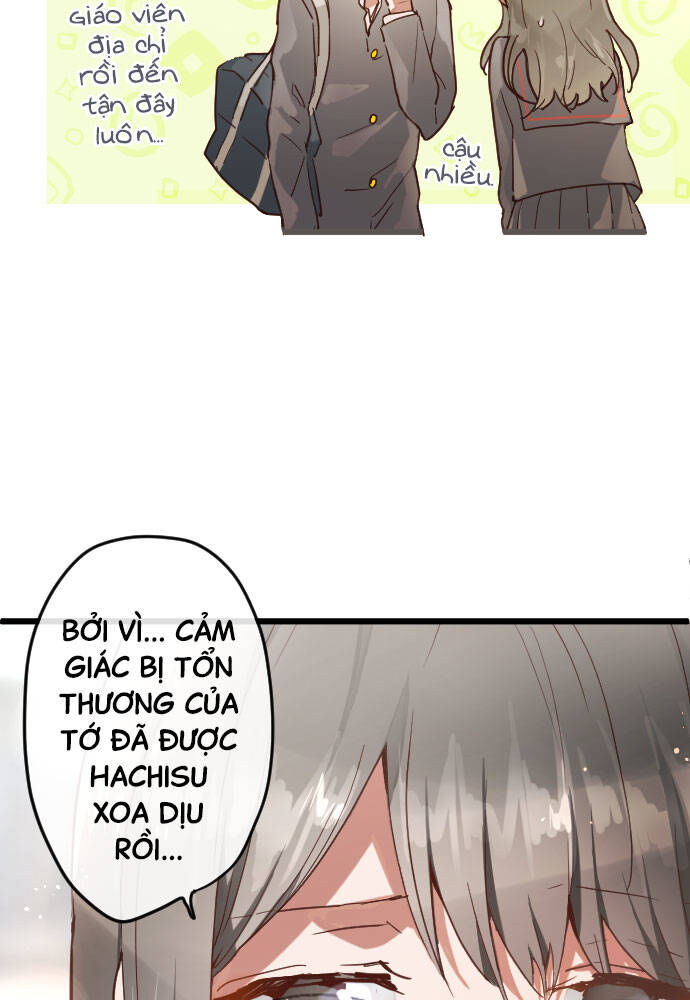 Hoa Cánh Sao