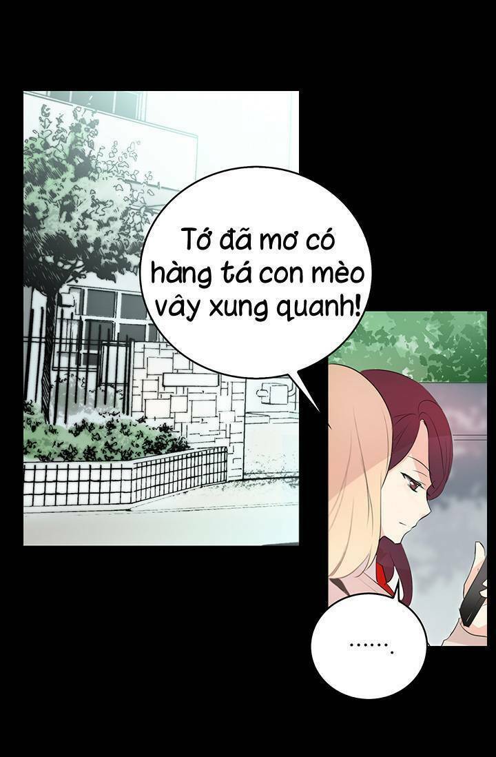 Cô Dâu Của Miêu Hoàng Tử Chương 3 Ảnh 33