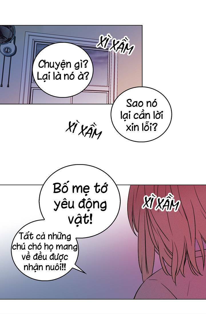 Cô Dâu Của Miêu Hoàng Tử Chương 5 Ảnh 20