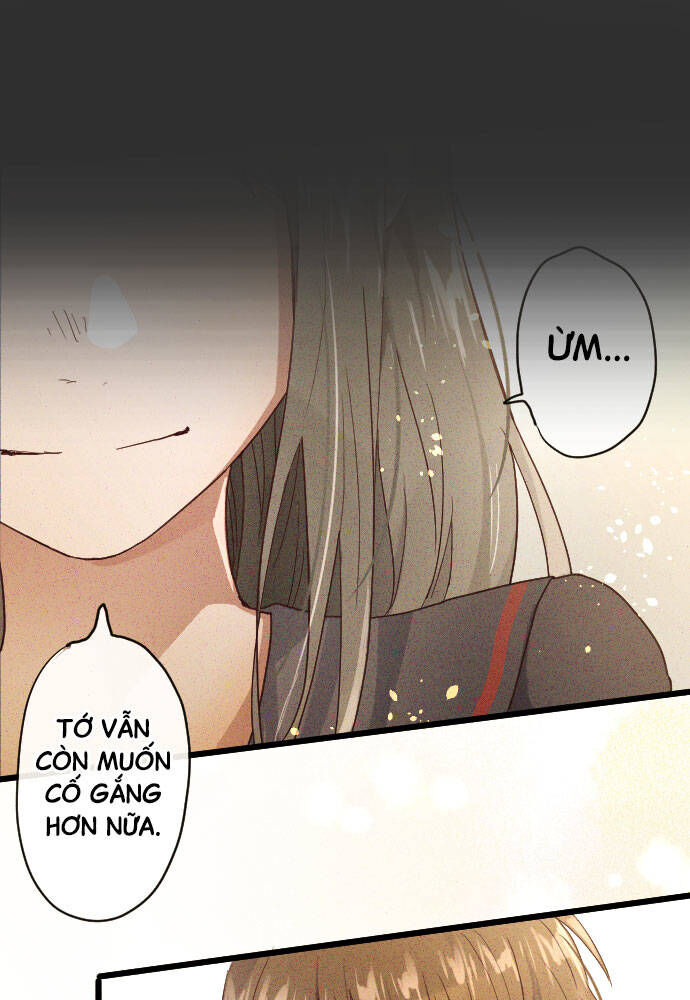 Hoa Cánh Sao