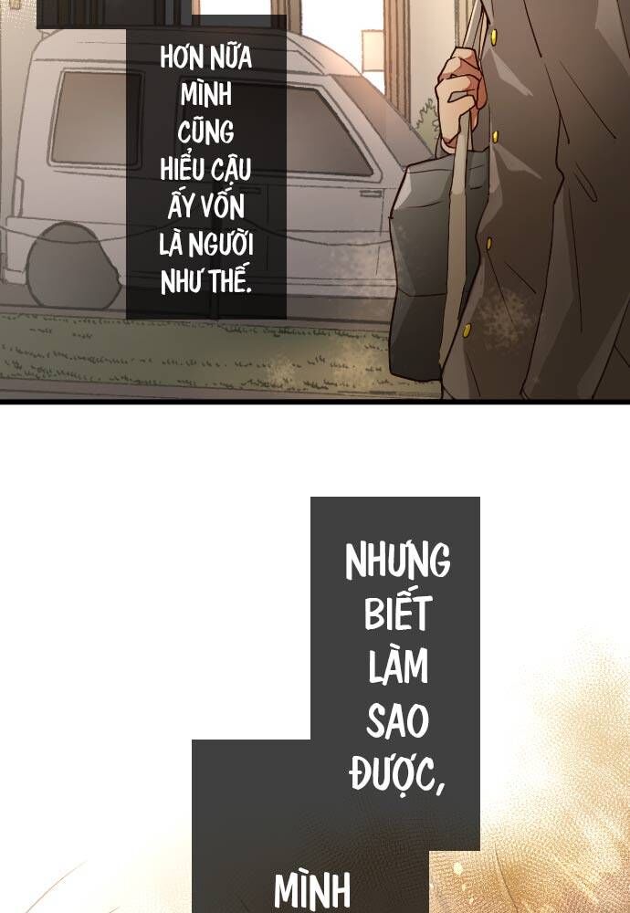 Hoa Cánh Sao