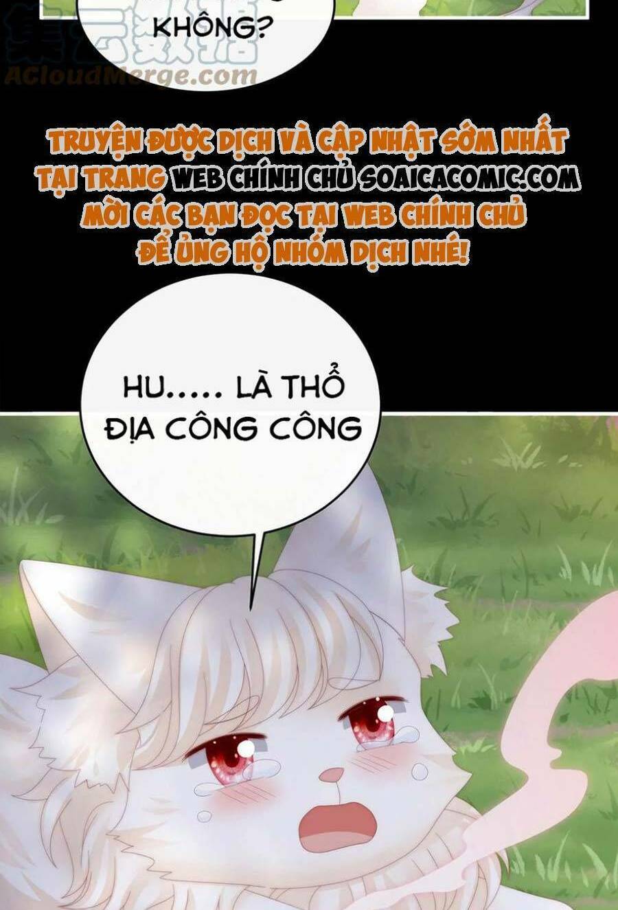 Thê Chủ, Thỉnh Hưởng Dụng Chương 83 Ảnh 15