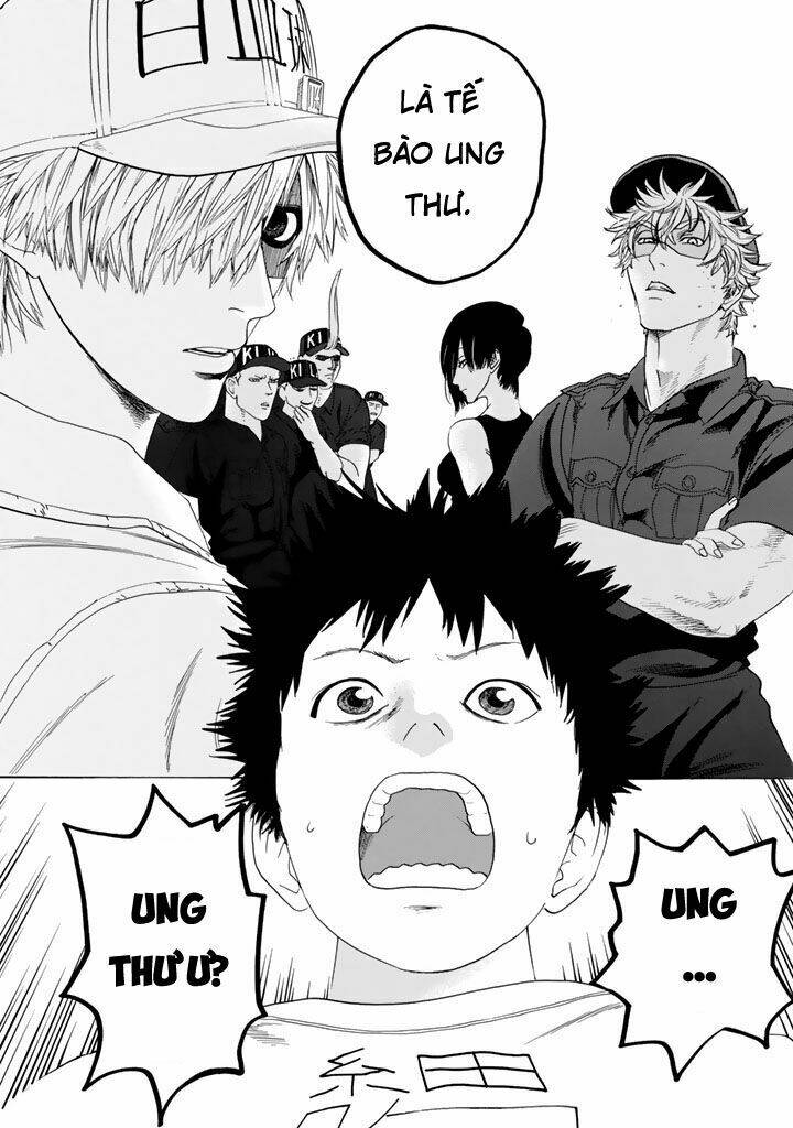 Hataraku Saibou ! Chương 23 Ảnh 11