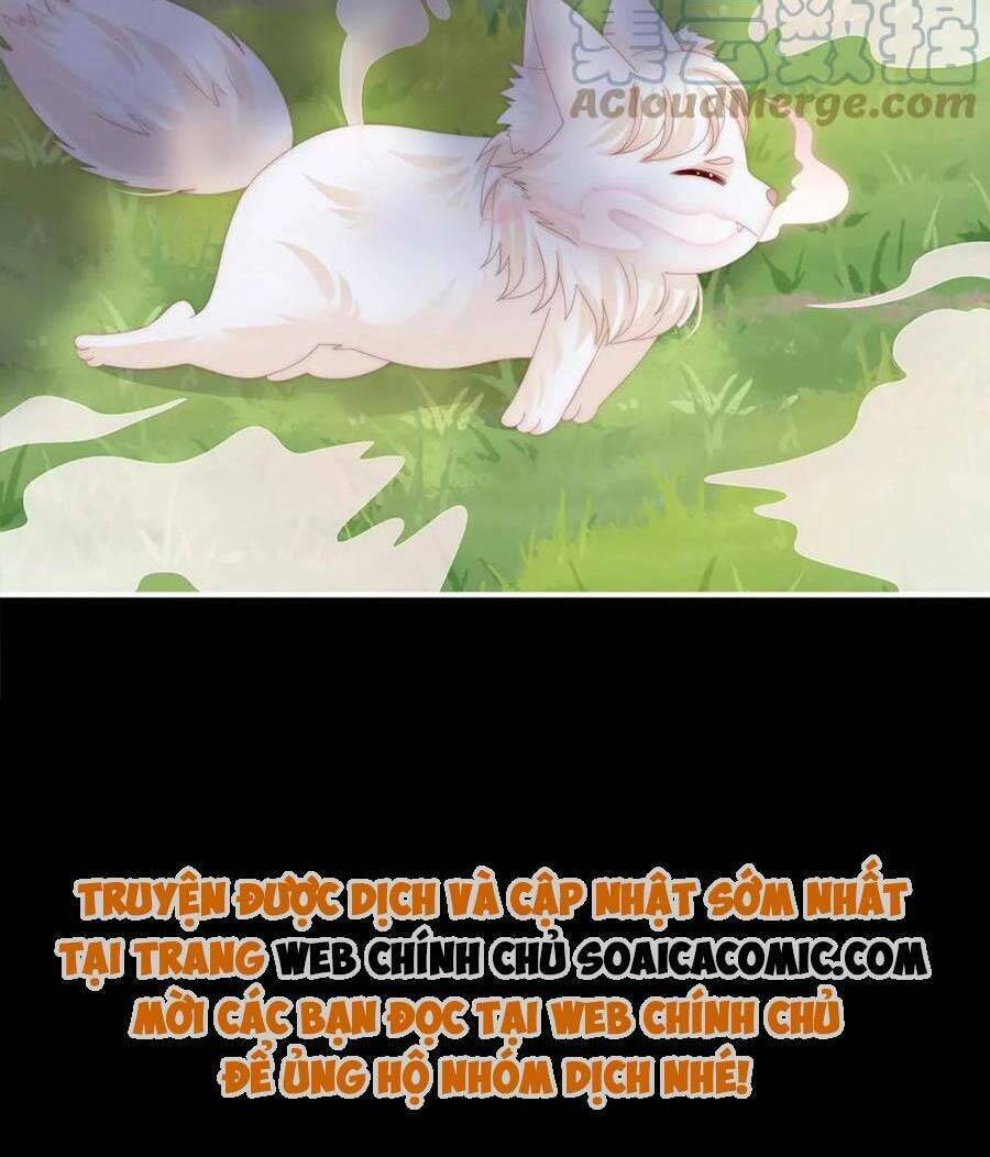 Thê Chủ, Thỉnh Hưởng Dụng Chương 83 Ảnh 10