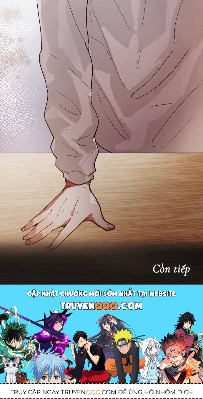 Hoa Cánh Sao