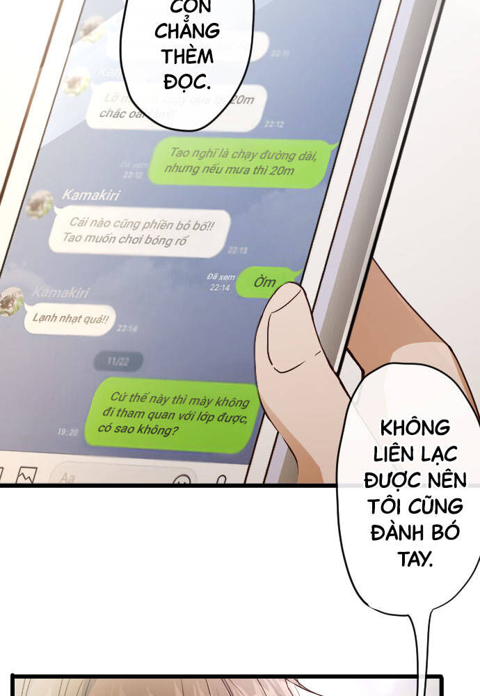 Hoa Cánh Sao