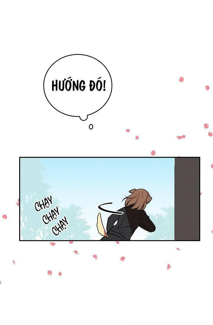 Cô Dâu Của Miêu Hoàng Tử Chương 3 Ảnh 17