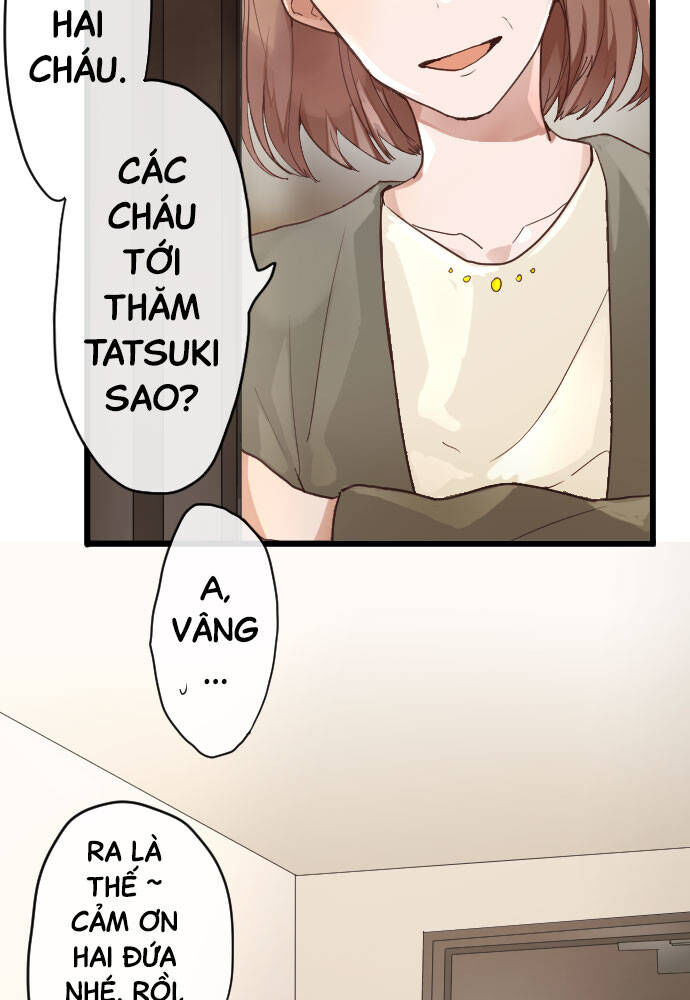 Hoa Cánh Sao