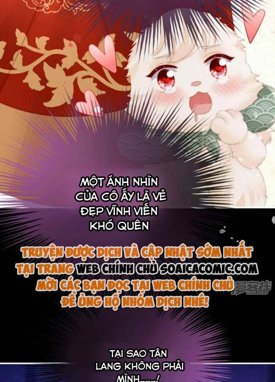 Thê Chủ, Thỉnh Hưởng Dụng Chương 72 Ảnh 32