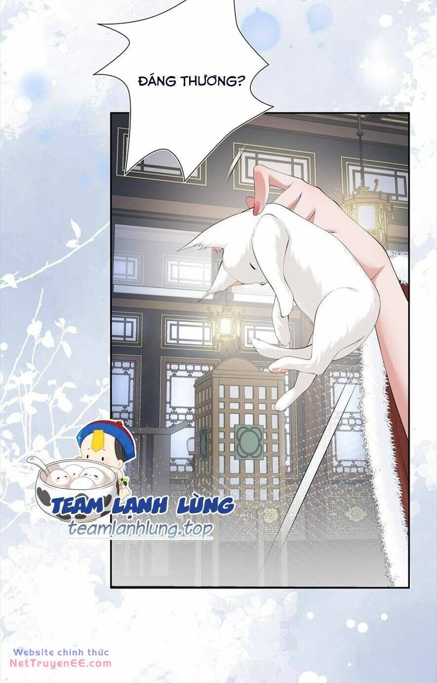 Không Biết Bệ Hạ Là Một Tiểu Cô Nương Chương 17 Ảnh 11