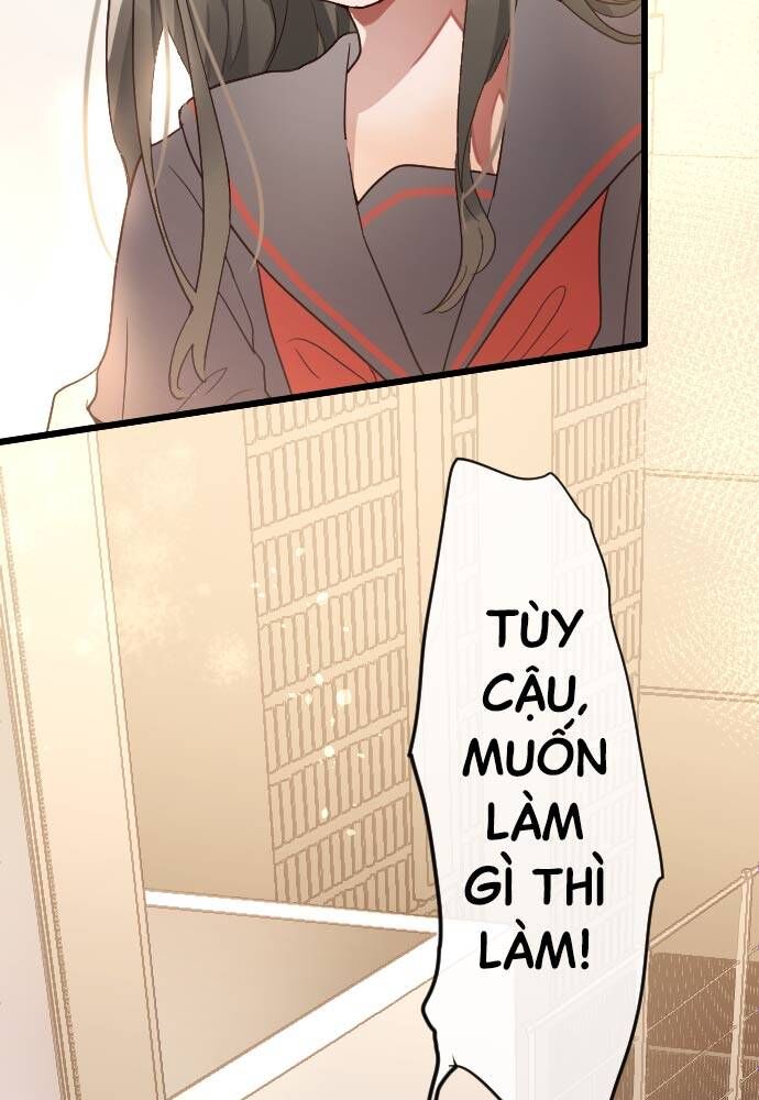 Hoa Cánh Sao