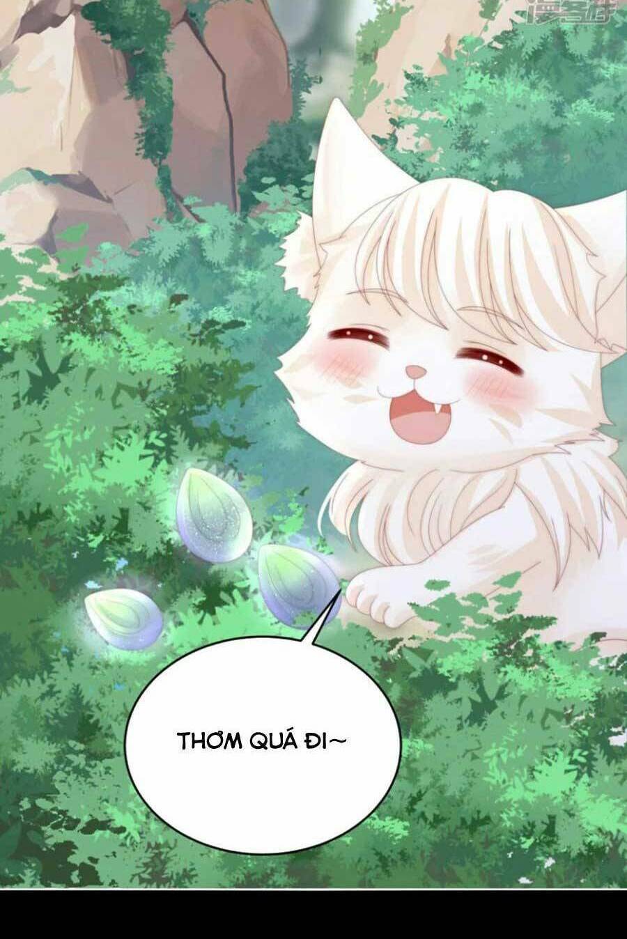 Thê Chủ, Thỉnh Hưởng Dụng Chương 79 Ảnh 29