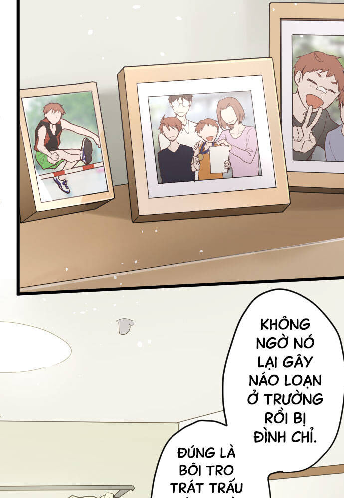 Hoa Cánh Sao