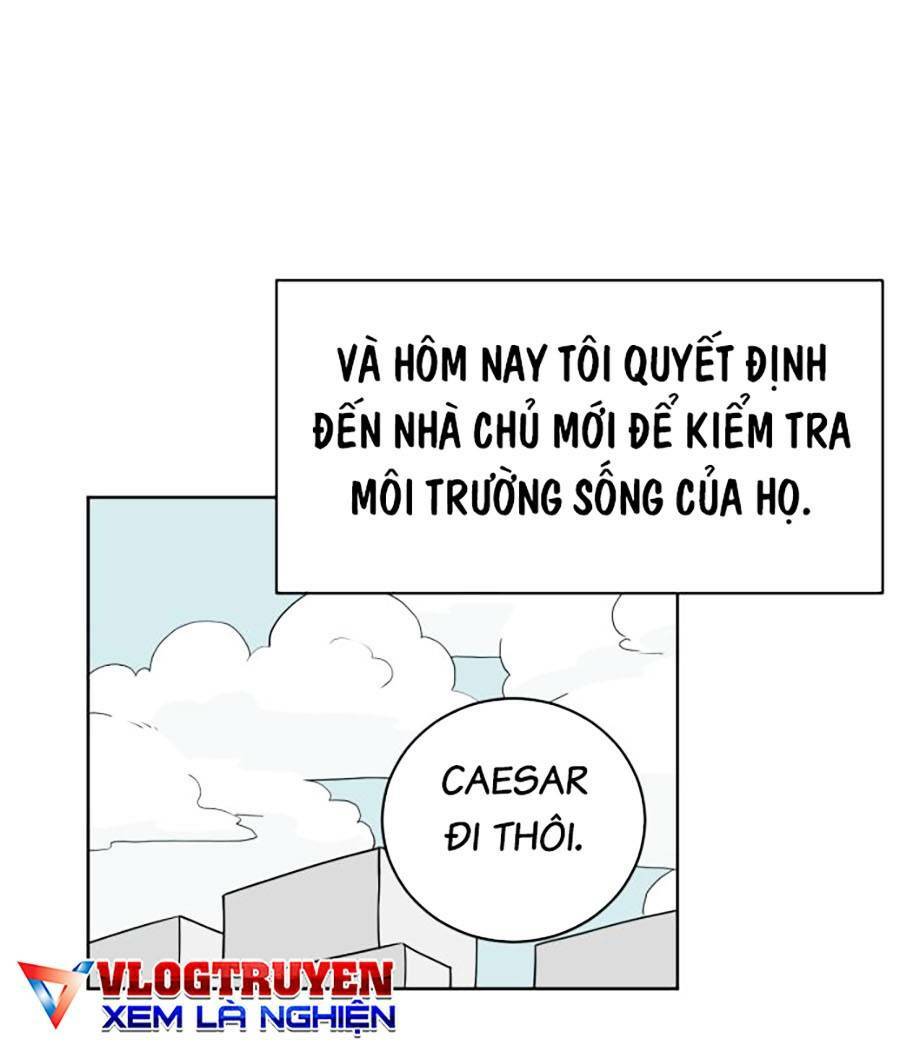 Con Mèo Đô Vật Của Tôi Chương 2 Ảnh 4