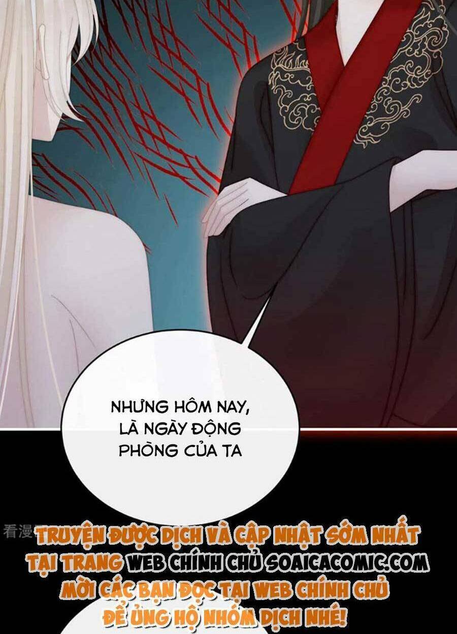 Thê Chủ, Thỉnh Hưởng Dụng Chương 74 Ảnh 5
