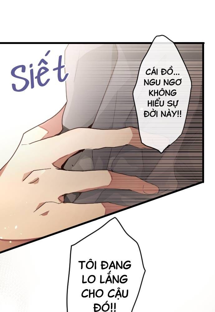 Hoa Cánh Sao