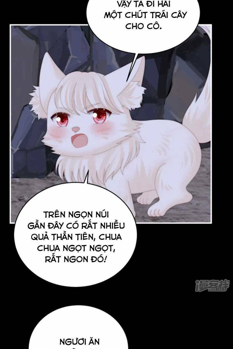 Thê Chủ, Thỉnh Hưởng Dụng Chương 79 Ảnh 26