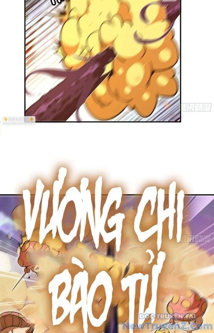 Dũng Sĩ Nấm Chương 94 Ảnh 5