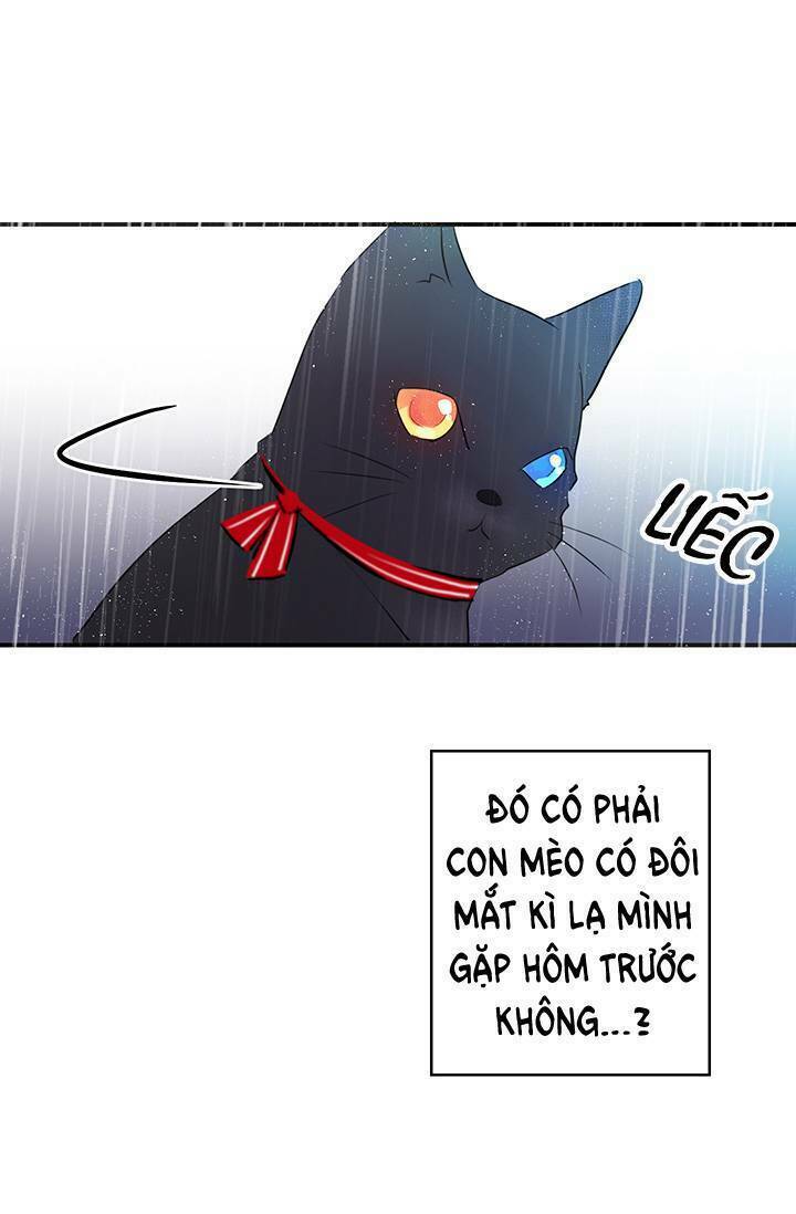 Cô Dâu Của Miêu Hoàng Tử Chương 5 Ảnh 34