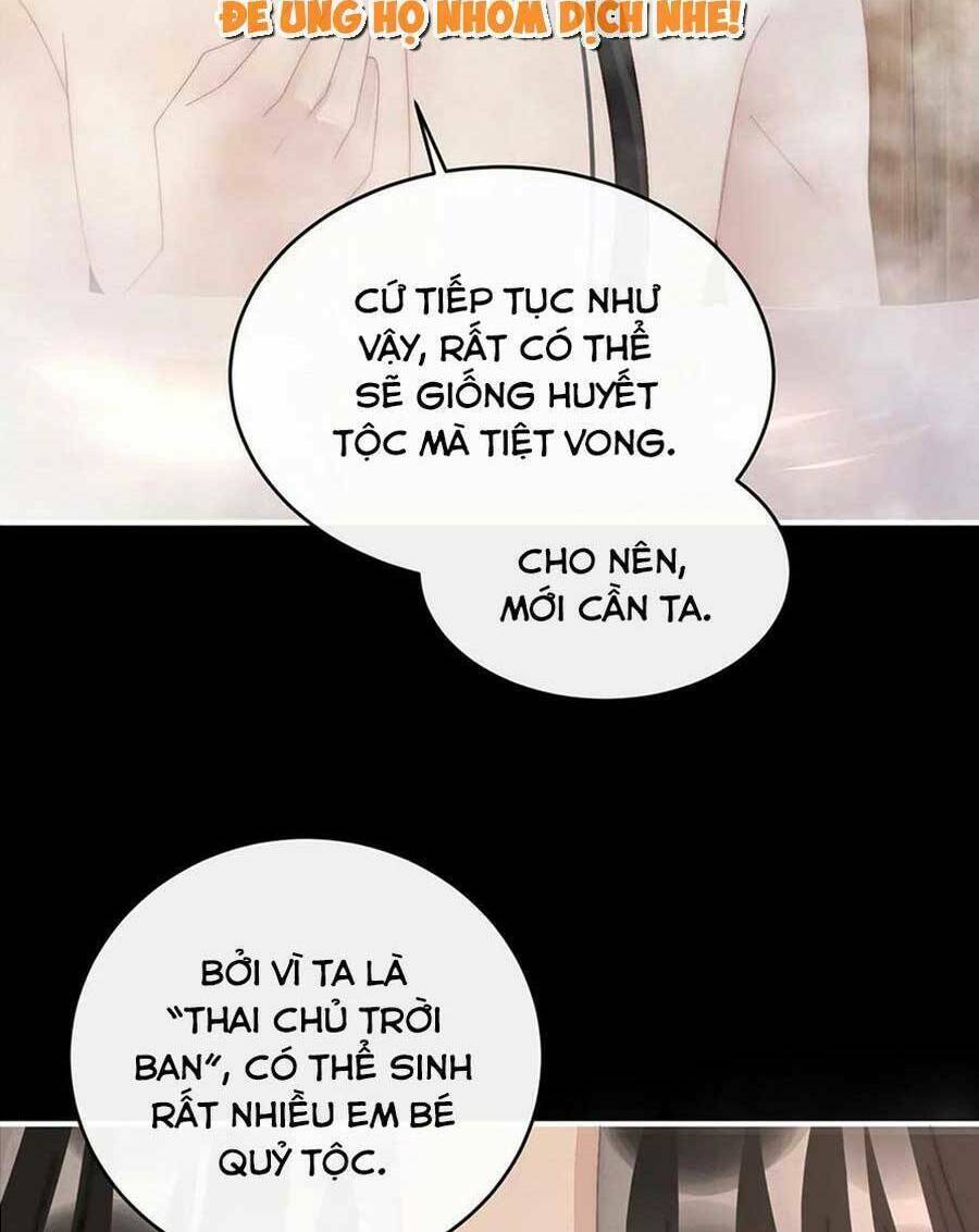Thê Chủ, Thỉnh Hưởng Dụng Chương 90 Ảnh 7