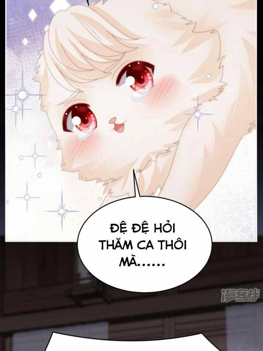 Thê Chủ, Thỉnh Hưởng Dụng Chương 76 Ảnh 10