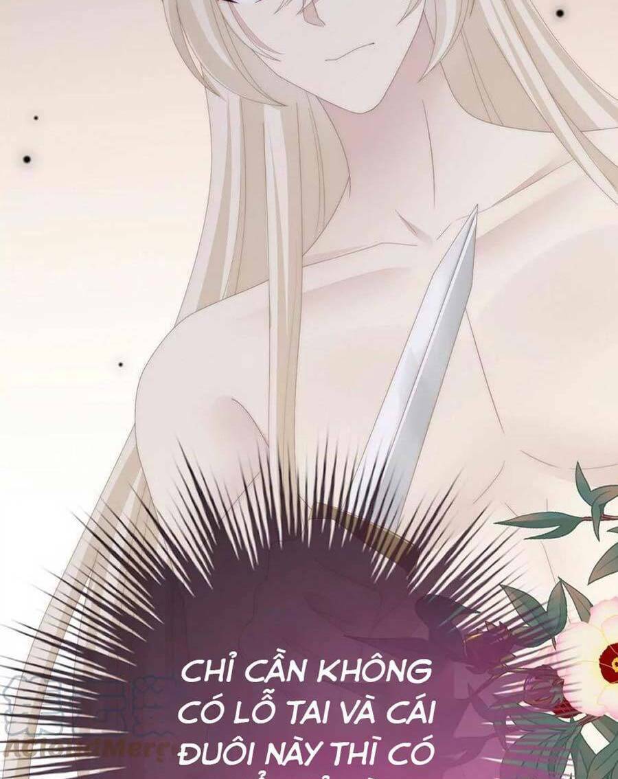 Thê Chủ, Thỉnh Hưởng Dụng Chương 83 Ảnh 32