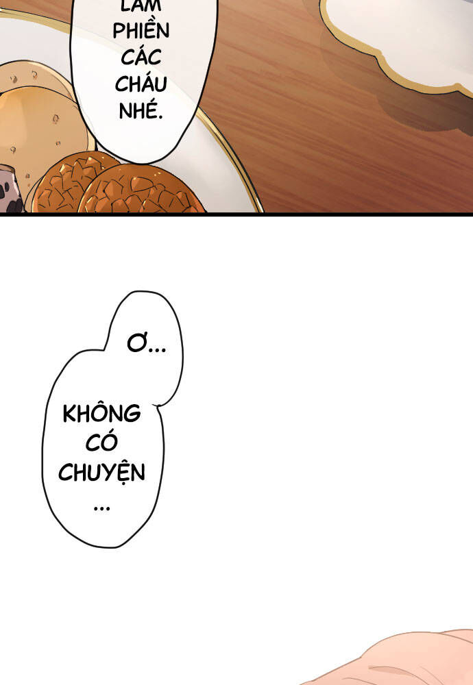 Hoa Cánh Sao