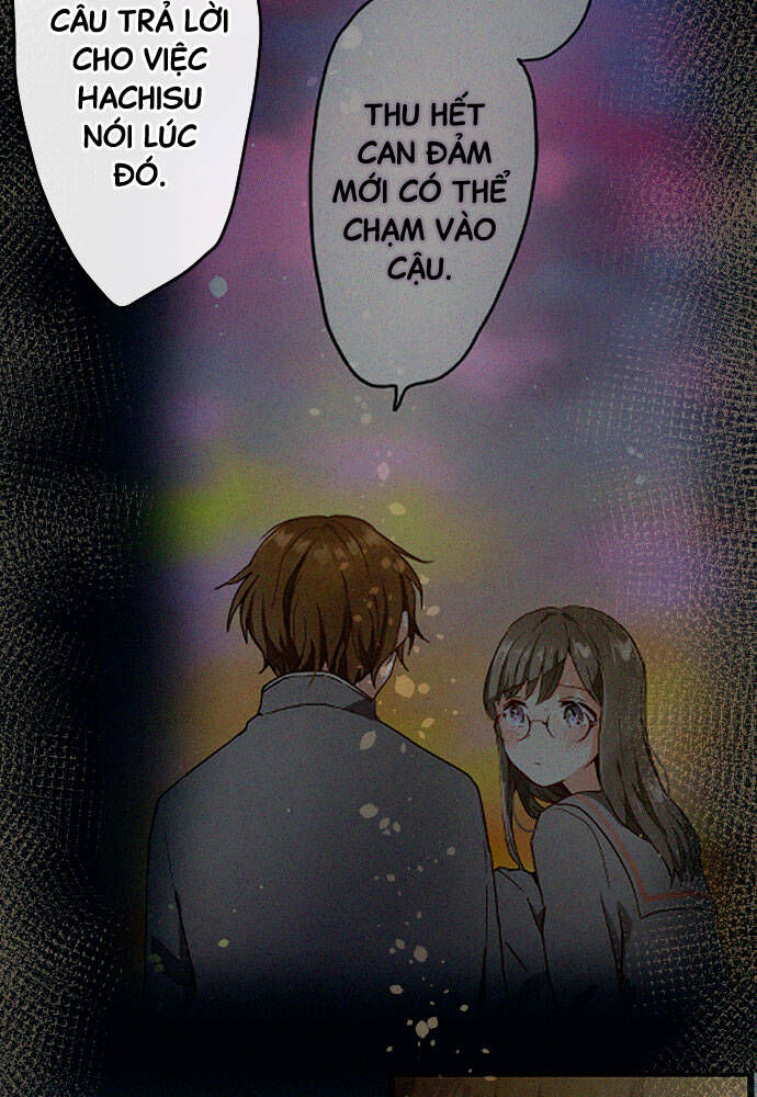 Hoa Cánh Sao