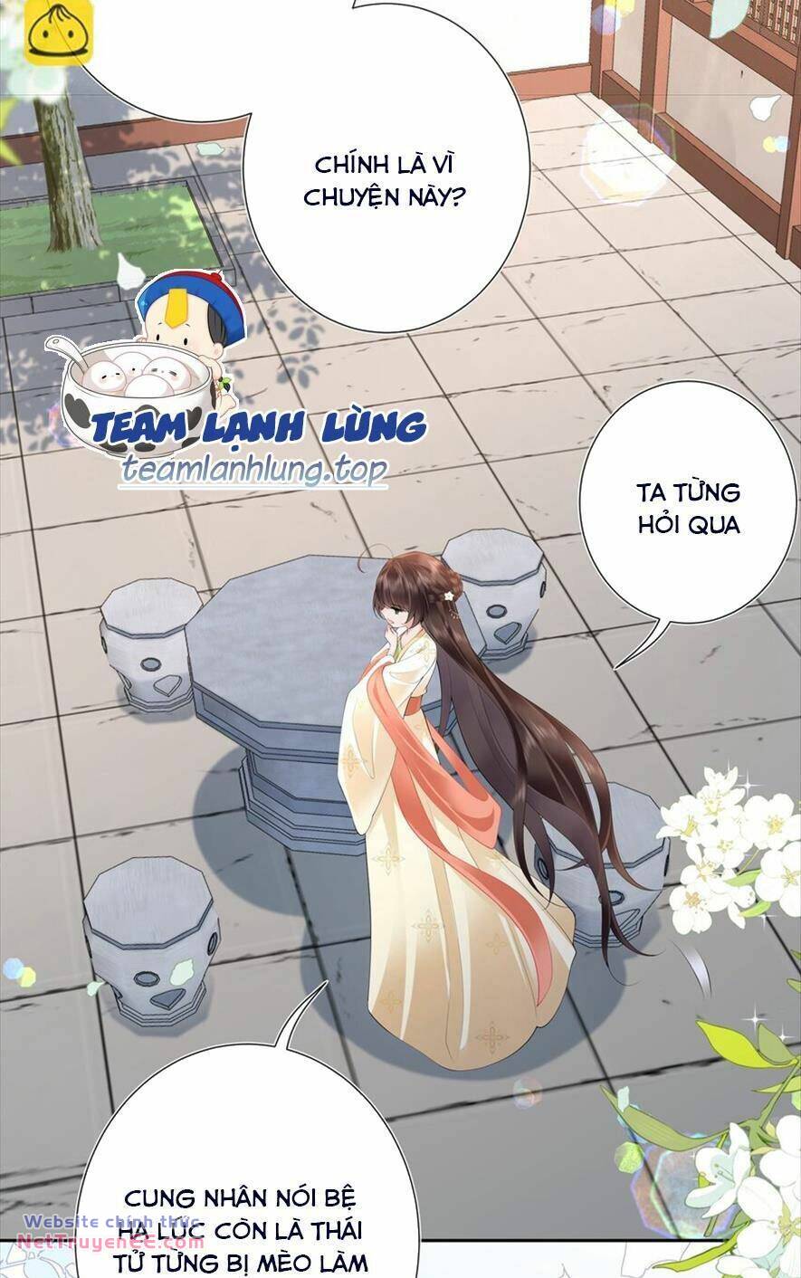 Không Biết Bệ Hạ Là Một Tiểu Cô Nương Chương 16 Ảnh 22