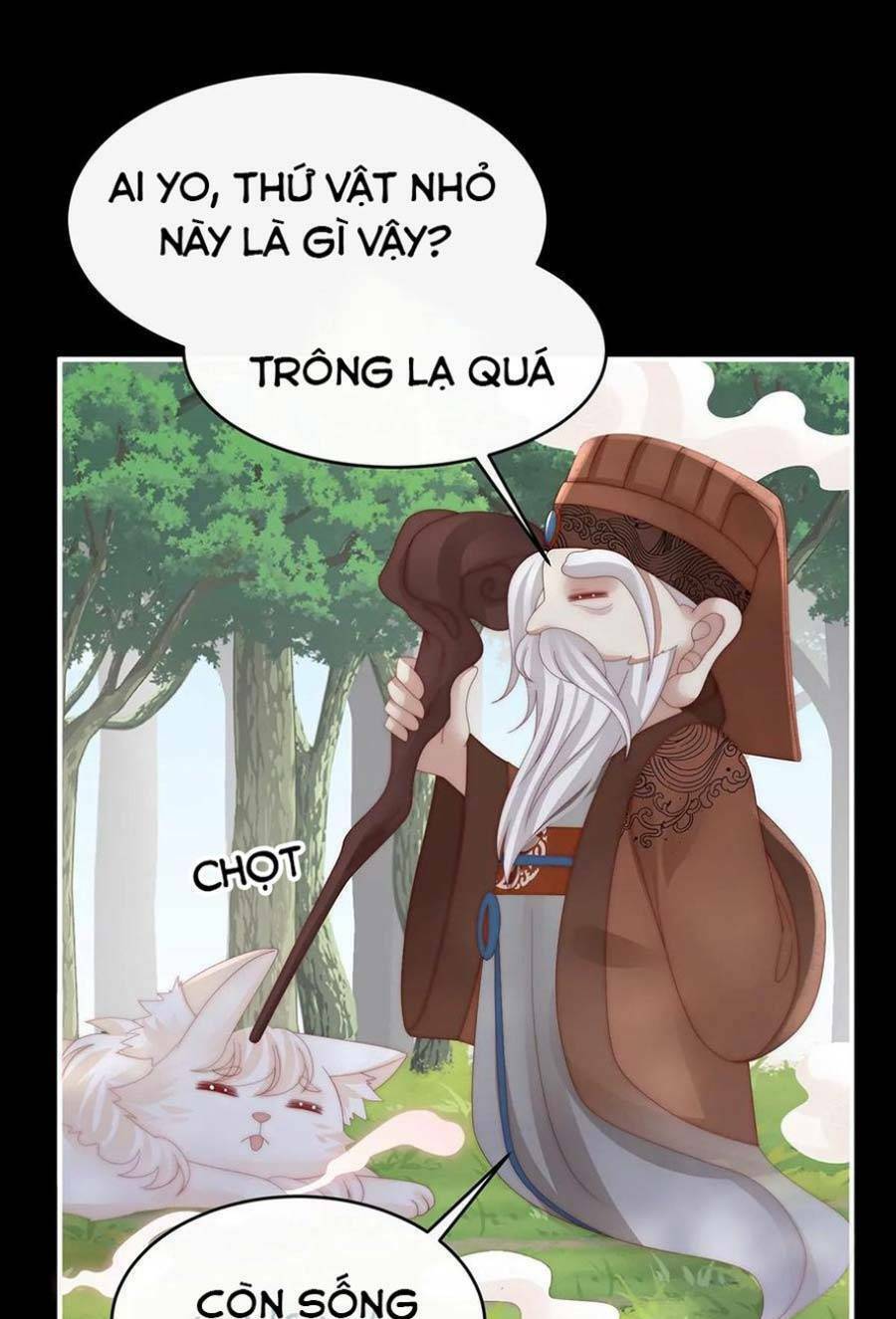Thê Chủ, Thỉnh Hưởng Dụng Chương 83 Ảnh 14