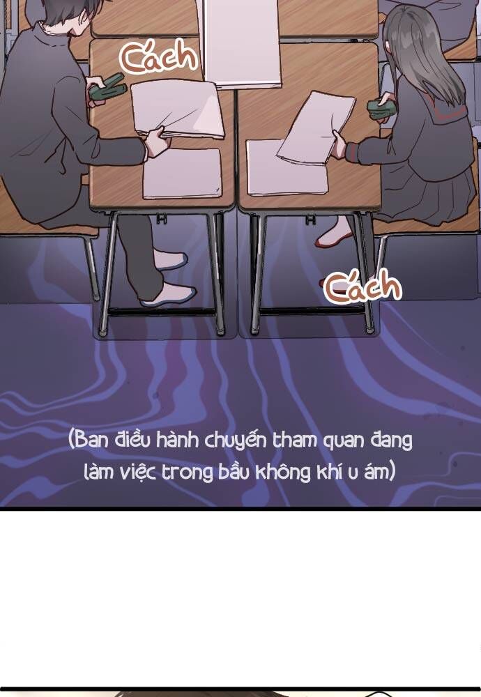 Hoa Cánh Sao
