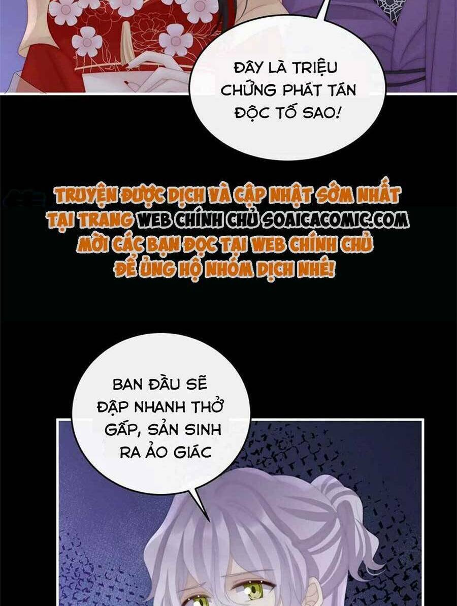 Thê Chủ, Thỉnh Hưởng Dụng Chương 82 Ảnh 5