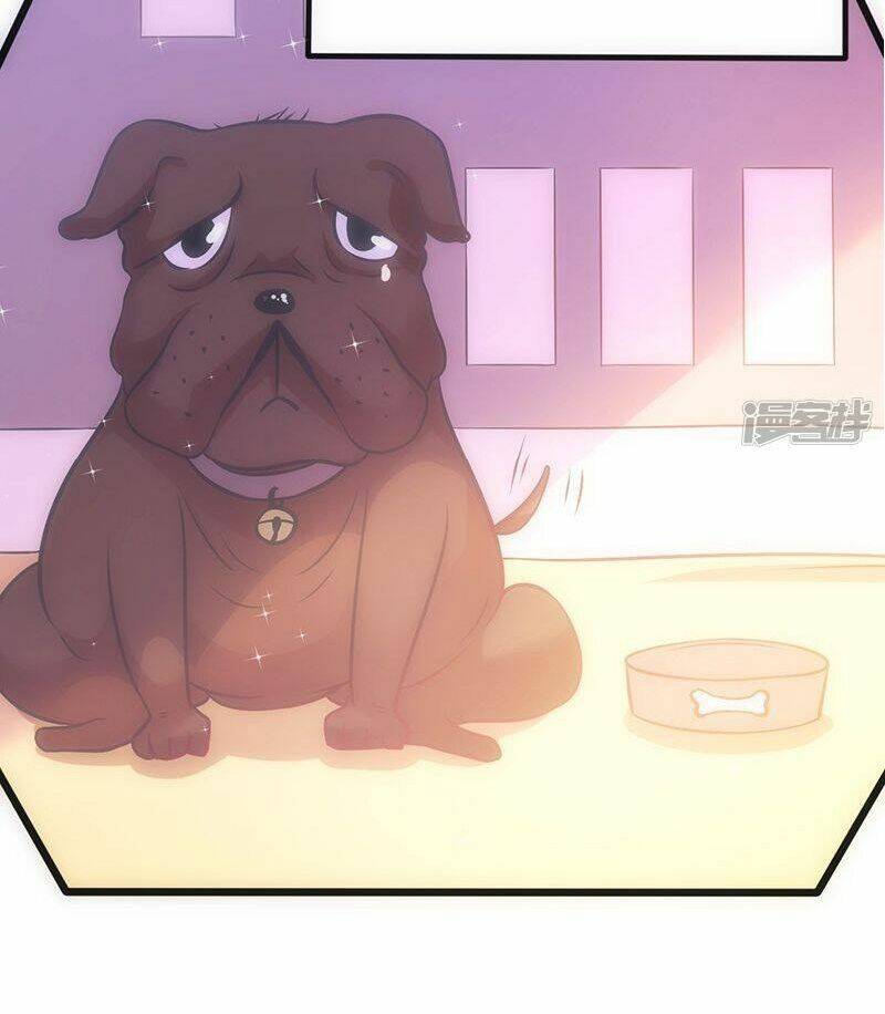 36 Kế Theo Đuổi Chồng: Ông Xã À, Tới Chiến Nào! Chương 36 Ảnh 23