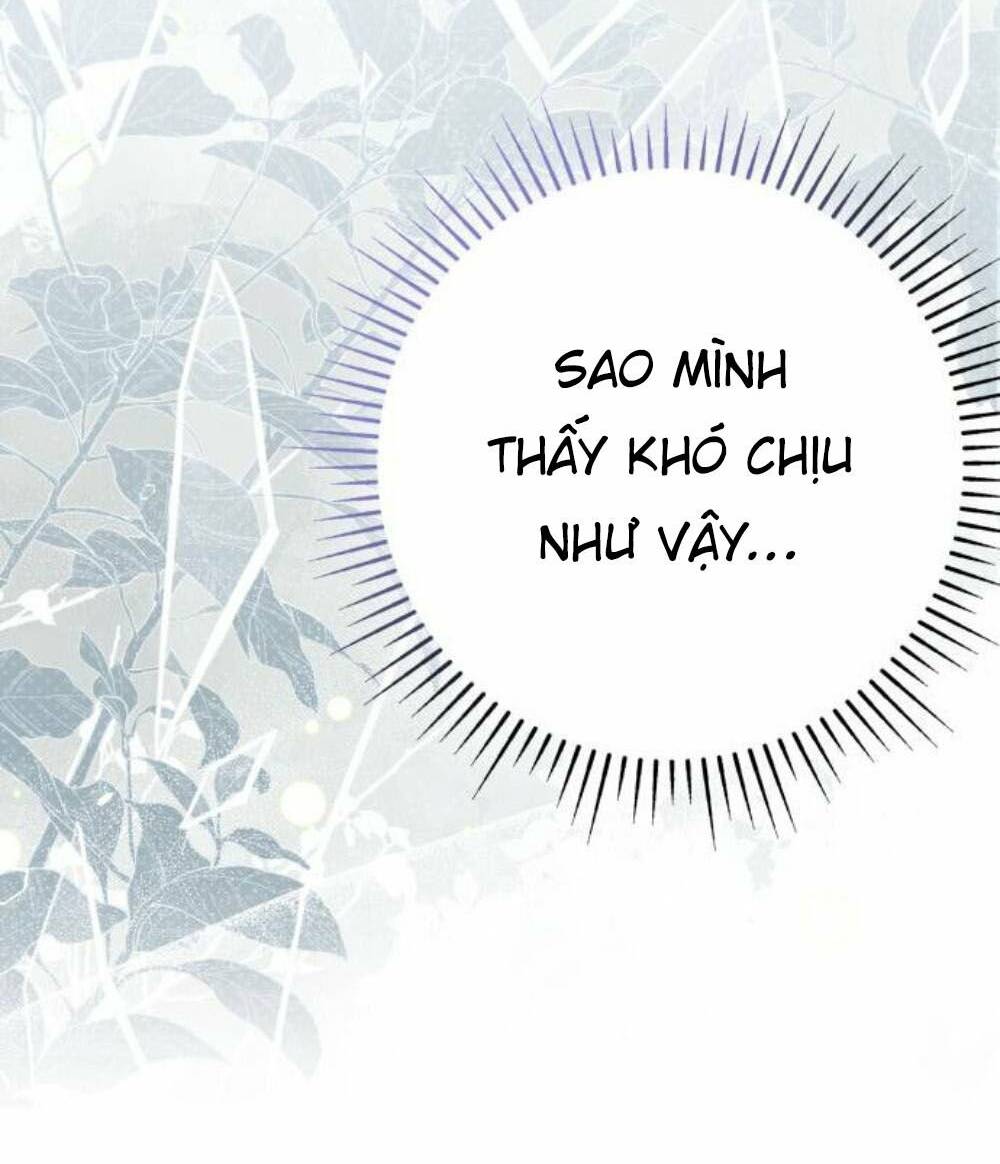Đại Úy! Chiến Trường Lần Này Là Nơi Này Sao? Chương 48.1 Ảnh 37
