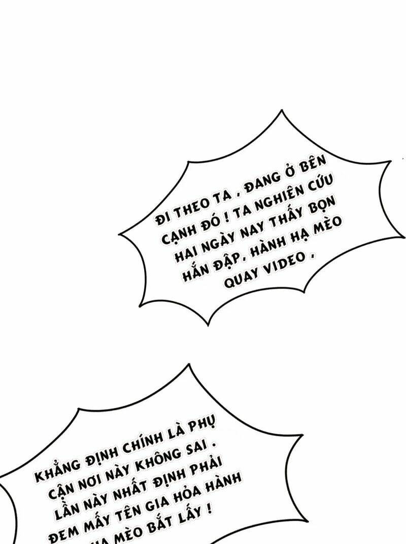 Ta Vốn Là Mèo Chương 1.5 Ảnh 45