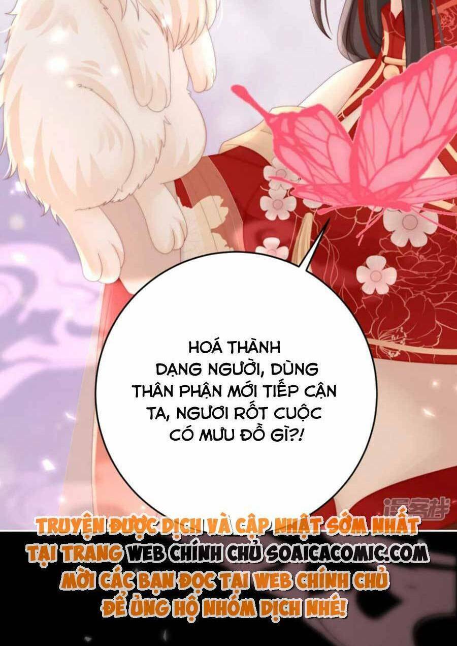 Thê Chủ, Thỉnh Hưởng Dụng Chương 79 Ảnh 12
