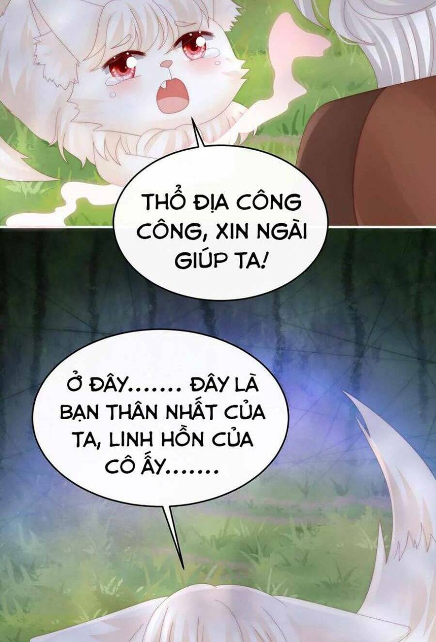 Thê Chủ, Thỉnh Hưởng Dụng Chương 83 Ảnh 17