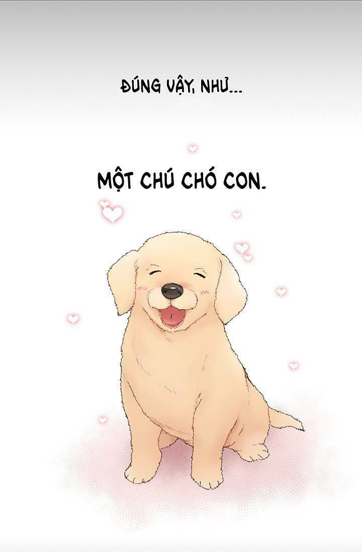 Cô Dâu Của Miêu Hoàng Tử Chương 1 Ảnh 6