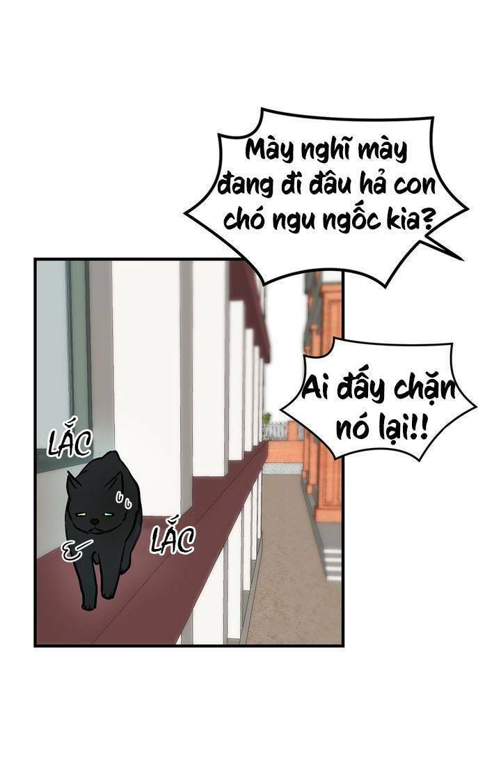 Cô Dâu Của Miêu Hoàng Tử Chương 2 Ảnh 53