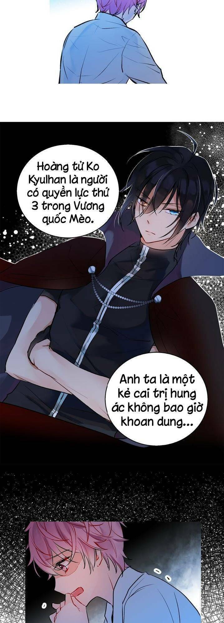 Cô Dâu Của Miêu Hoàng Tử Chương 10 Ảnh 19