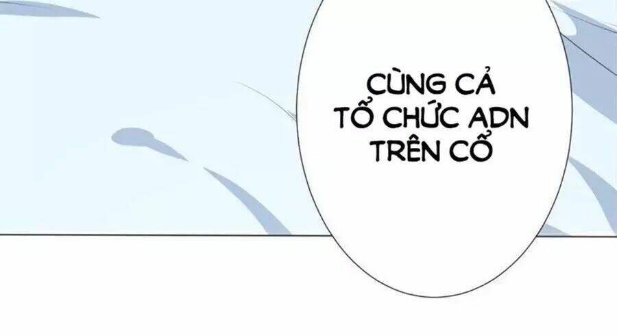 Bác Sĩ Sở Cũng Muốn Yêu Chương 246 Ảnh 3